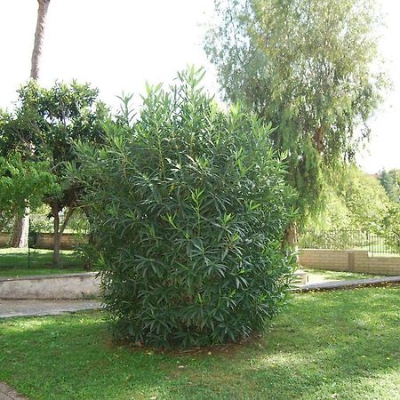Roma Eur Bed & Breakfast Luaran gambar